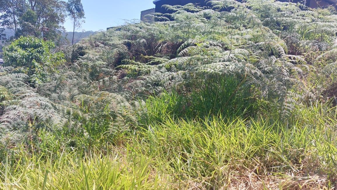 Terreno à venda, 500m² - Foto 8