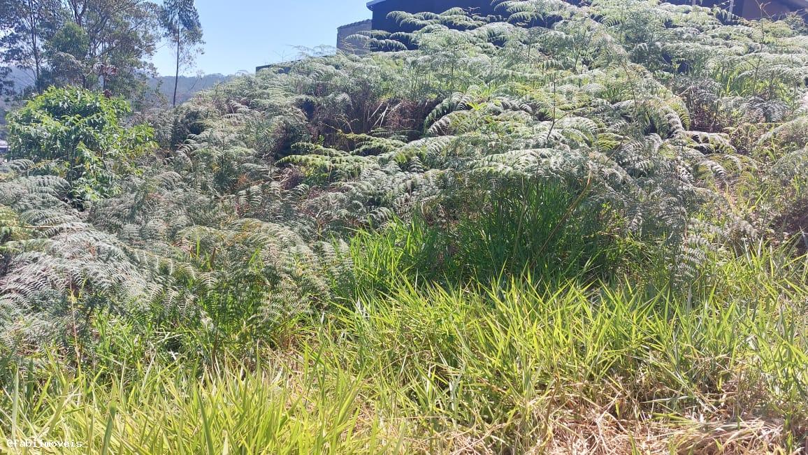 Terreno à venda, 500m² - Foto 17