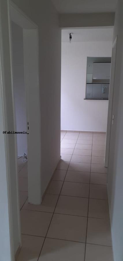 Apartamento para alugar com 3 quartos - Foto 18